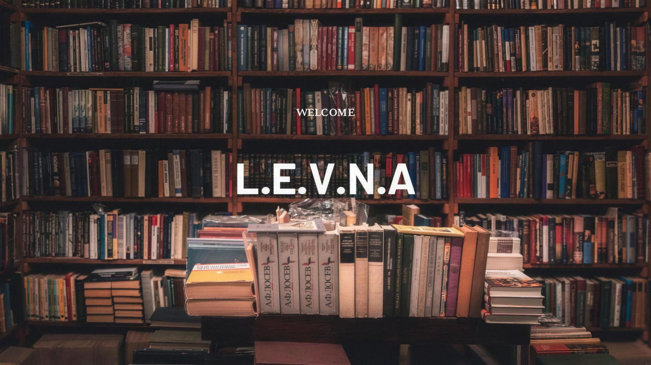 Levna hero